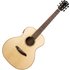 Ferndale GAM3-E-S-RW Electro Solid Spruce Top Rosewood Back And Sides - Image 3