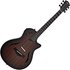 Taylor T5z Classic Rosewood - Image 3