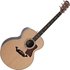 Taylor Legacy 815e Natural Gloss - Image 3