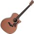 Taylor Legacy 714ce Natural Gloss - Image 3