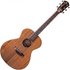 Taylor Jacob Collier Signature Model JCSM-6 - Image 3
