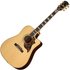 Epiphone Hummingbird Deluxe EC Natural - Image 3
