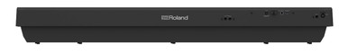 Roland FP30X Digital PORTABLE Piano in Black - Includes DP-2 Sustain Pedal - Image 2