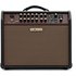 Boss Acoustic Singer Pro Amplifier - Image 3