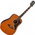 Eko Ranger VI VR Acoustic Natural - Image 3