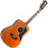 Eko Ranger XII VR EQ 12-String Electro Acoustic Natural - Image 3