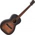 ARIA-131DP Delta Player Parlour Acoustic Guitar Muddy Brown - Image 3