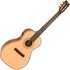 Vintage Paul Brett Electro Acoustic - Image 3