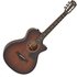 Taylor 322ce 12-Fret Shaded Edge Burst - Image 3