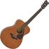Yamaha FS800 II Acoustic Tinted - Image 3