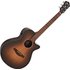 Ibanez AEG50 Dark Honey Burst High Gloss - Image 3