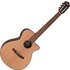 Ibanez AEG50N Natural - Image 3