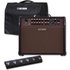 Boss Acoustic Singer Live Amplifier with Cover and Foot Controller - Image 3