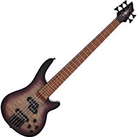 Chicago Select 5-String Bass Guitar Purple Burst
