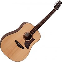 Ibanez AAD100 Advanced Open Pore Natural