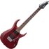 Cort X100 Open Pore Black Cherry - Image 3
