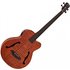 Aria FEB-F2M/FL Medium Scale Fretless Bass Stained Brown - Image 3