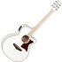 Tanglewood Winterleaf TW4CEBLW Super Folk Whitsunday White Gloss - Image 3