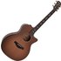 Taylor Builders Edition 614ce Wild Honey Burst - Image 3