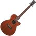 Ibanez AEG220 Natural Low Gloss - Image 3