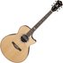 Ibanez MRC10 Marcin Signature Natural High Gloss - Image 3
