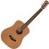 Taylor Baby BT2 Natural - Image 3