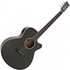 Tanglewood TW4CEFG Winterleaf Green Gloss - Image 3