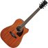 Ibanez PF16MWCE-OPN Open Pore Natural - Image 3