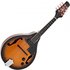 Electro Acoustic Mandolin Sunburst - Image 3