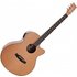 Tanglewood TW4 Winterleaf Super Folk Electro Acoustic Natural - Image 3