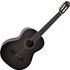 Deluxe Classical Guitar Trans Black - Image 3