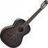 Deluxe Electro Classical Guitar Trans Black Burst - Image 3
