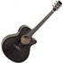 Tanglewood TW4 CE Winterleaf Electro Acoustic Black Shadow Gloss - Image 3
