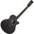 Tanglewood TB412CE 12 Blackbird 12 String Electro Acoustic Guitar - Image 3