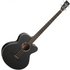 Tanglewood TWBBAB Blackbird Electro Acoustic Bass - Image 3