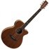 Tanglewood TRU4CEAW Reunion Pro Series Super Folk Acoustic Guitar - Image 3