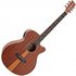 Tanglewood TRU4CEAS Reunion Pro Series Super Folk Electro Acoustic Santos - Image 3