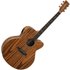 Tanglewood TRU7CEAZ Reunion Pro Series Super Jumbo Acoustic Guitar - Image 3
