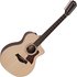 Taylor 254ce Plus 12-String Natural - Image 3