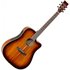 Tanglewood TW5 E KOA Winterleaf Exotic Dreadnought Electro Acoustic - Image 3