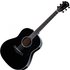 Taylor 217e Plus Black - Image 3
