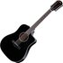 Taylor 250ce Plus 12-String Black - Image 3