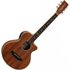 Tanglewood TRU2-CE-AW Reunion Travel Electro Acoustic All Black Walnut - Image 3