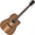 Ibanez V40WSCE Open Pore Brown - Image 3