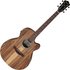 Ibanez VC40WSCE Open Pore Brown - Image 3