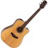 Takamine GD20CE Electro Acoustic Natural - Image 3