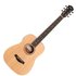 Taylor Baby BT1E Natural - Image 3