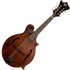 Barnes & Mullins Salvino Mandolin - Image 3
