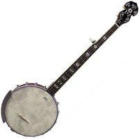 Barnes & Mullins Albert Open Back 5-String Banjo