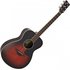Yamaha FS830 Acoustic Tobacco Brown Sunburst - Image 3